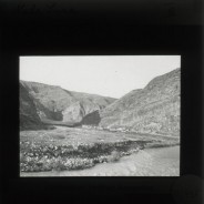 Böhl glass slide 21./735